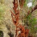 Steven Hamby Photo 15