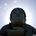 David Tien Photo 12