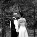 Tracey Stephens Photo 36