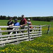 Shirley Cross Photo 22