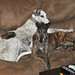 Michael Reinert Photo 39