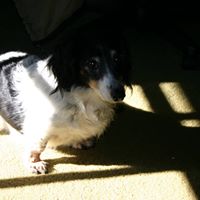 William Diggs Photo 30