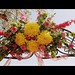 Rhonda Flowers Photo 24