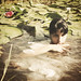 Lily To Photo 10