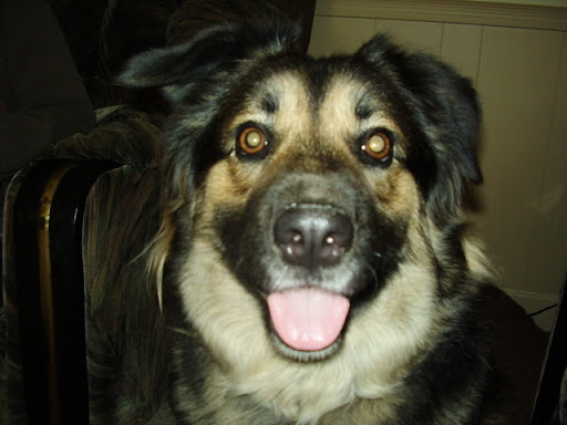 Bill Roth Photo 39