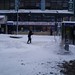 Glenda York Photo 22