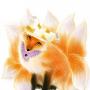 Catherine Rose Photo 11