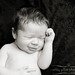 Martha Gillett Photo 3