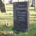 William Washington Photo 38