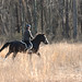 Carl Canter Photo 8