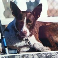 Donna Stubbs Photo 24