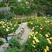 Nancy Britz Photo 9