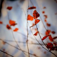 Christian Lapointe Photo 6