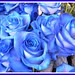 Rosemarie Heard Photo 7