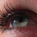 Peter Lash Photo 20