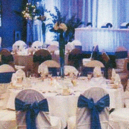 Anne Brewer Photo 34