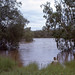 Margaret Downing Photo 14
