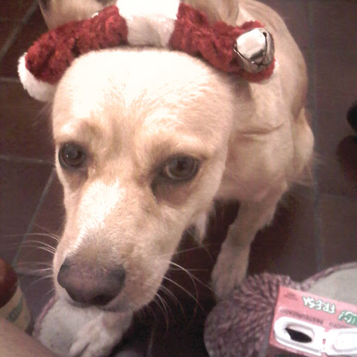 Laura Machuca Photo 11