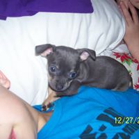 Regina Winters Photo 7