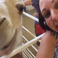 Kathleen Schneider Photo 36