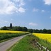Lee Lane Photo 26