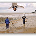 Sharon Cromer Photo 12