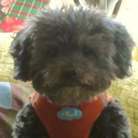 Jeanne Marie Photo 32