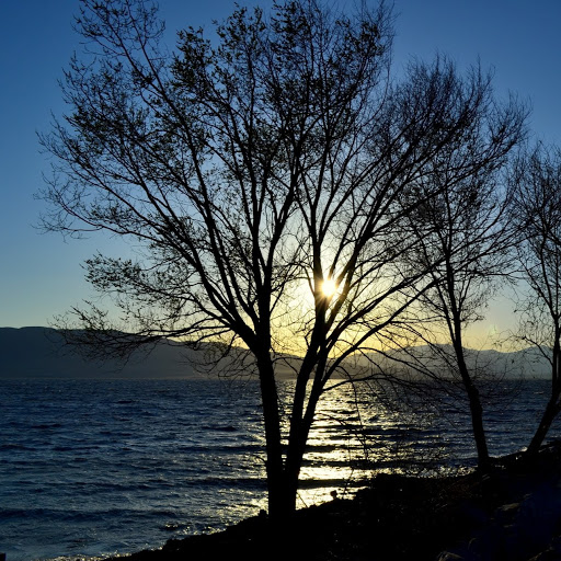 Peter S Photo 11
