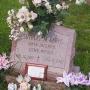 Mike Keefe Photo 14