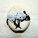 Shawn Lamb Photo 10
