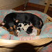 Tiki Jackson Photo 15