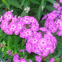 Amy Drake Photo 7