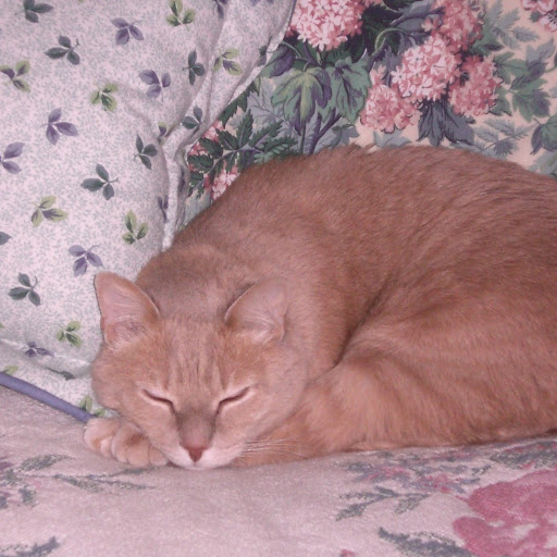 Martha Strickland Photo 44