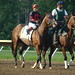 Joseph Chavez Photo 31