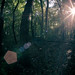 Leo Forrest Photo 6