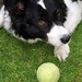 Megan Collie Photo 8