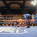 Albert Chatman Photo 9