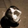 Ruby Henderson Photo 12