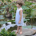 Robert Willingham Photo 16
