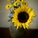 Kristi Flowers Photo 10