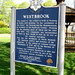 David Westbrook Photo 42