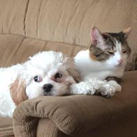 Donna Sherman Photo 15