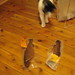 Joseph Fish Photo 36
