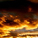 Debra Sloan Photo 35