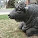 Regina Potter Photo 16