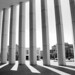 Stephen Schwarz Photo 47