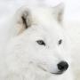 Theresa Hawes Photo 4