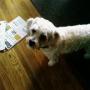 Joanne Moyer Photo 23
