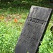 Louisa Welch Photo 5