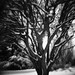 Diana Rich Photo 36